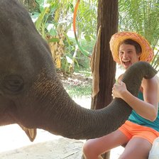 Схема вышивки «СЛОН»