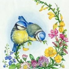 Схема вышивки «sýkorky,kvety»