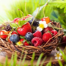 Схема вышивки «Ягодки»