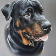 Друг человека