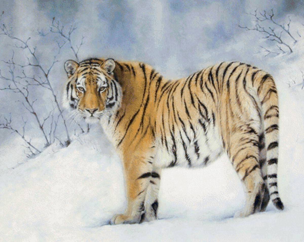 Тигр - животные, зима, рисунок, снег, тигр - предпросмотр
