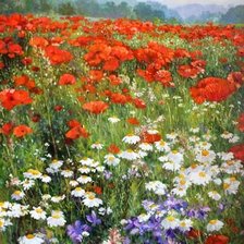 Схема вышивки «ПОЛЕВЫЕ ЦВЕТЫ»