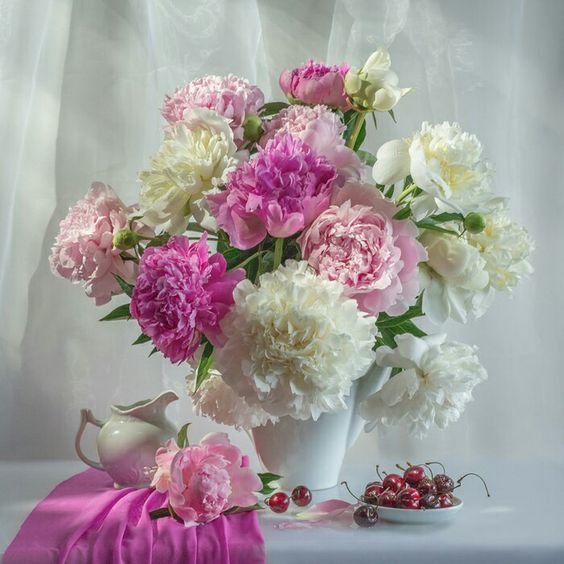 ПИОНЫ - пионы - оригинал