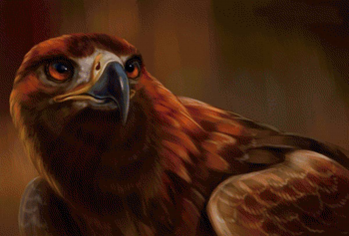 Орёл - рисунок, птица, орел - предпросмотр