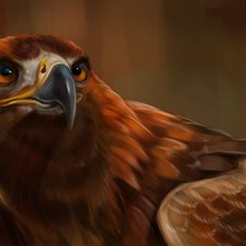 Схема вышивки «Орёл»