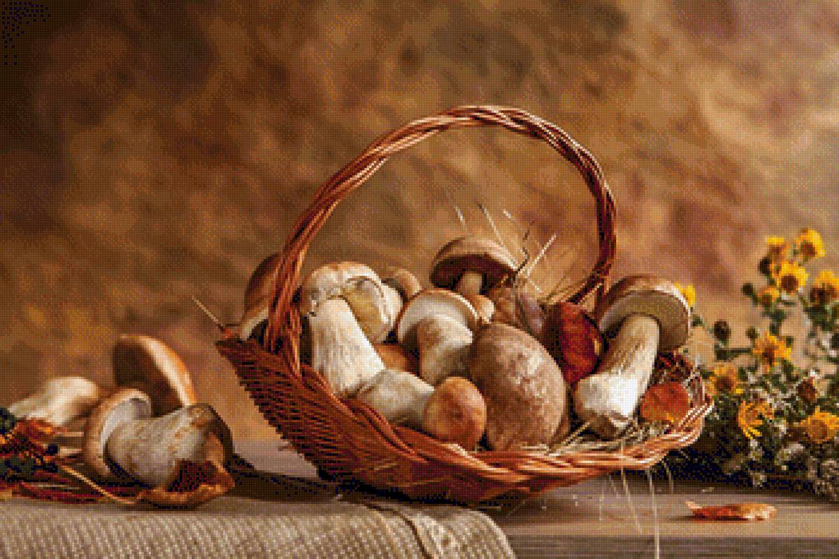 ГРИБЫ - грибы - предпросмотр