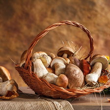 Схема вышивки «ГРИБЫ»