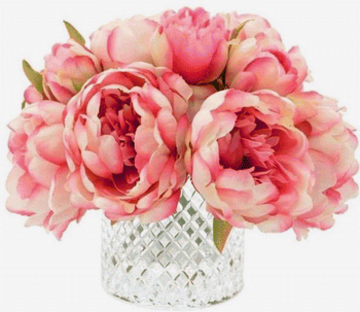 ПИОНЫ В ВАЗЕ - пионы в вазе - предпросмотр