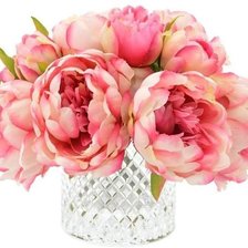 ПИОНЫ В ВАЗЕ