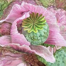 Схема вышивки «МАК»