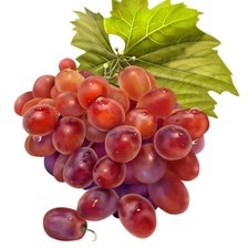 Схема вышивки «ВИНОГРАД»