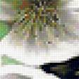 Предпросмотр схемы вышивки «№1909394»