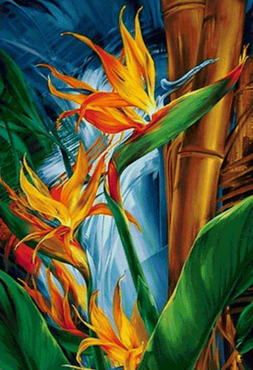 Стрелиция - цветочная композиция, амбук, цветы - предпросмотр