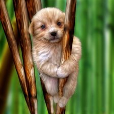 Схема вышивки «Щенок»