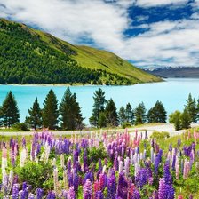 Схема вышивки «природа»