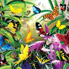 Схема вышивки «Бабочки»