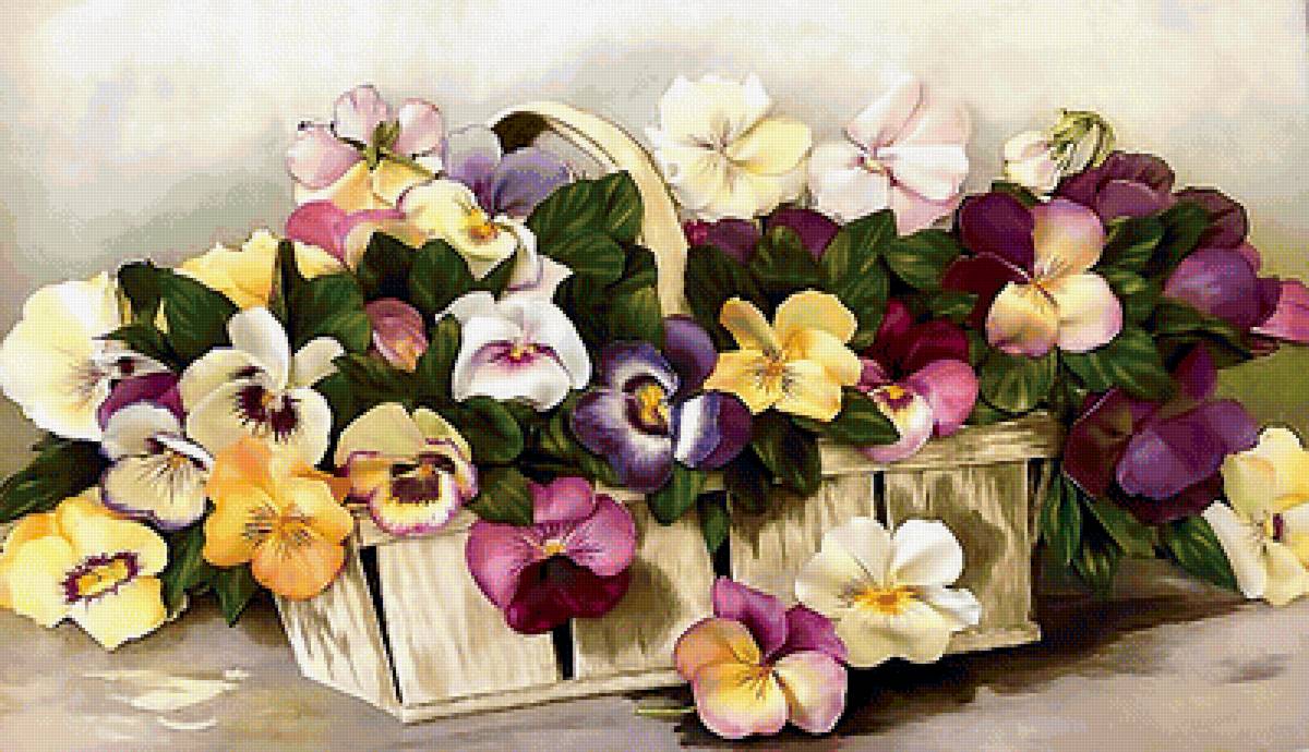 Серия "Анютины глазки" - цветы, флора, анютки - предпросмотр