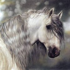 Серый красавец