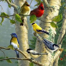 Схема вышивки «Птички»