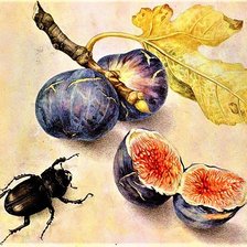 Схема вышивки «№1909914»