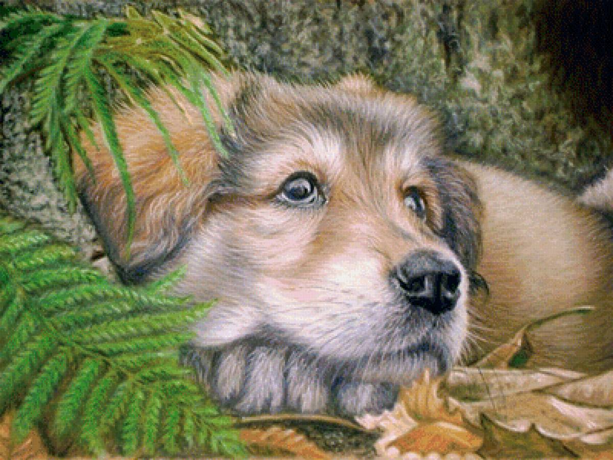 Мир животных - собака, животное, арт, пес - предпросмотр