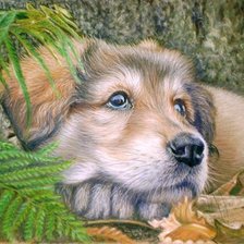 Схема вышивки «Мир животных»