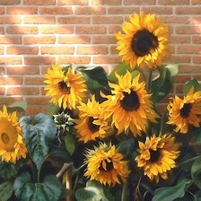 Схема вышивки «ПОДСОЛНУХИ»