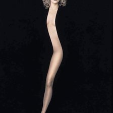 Схема вышивки «красота»