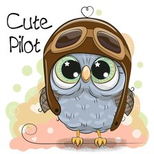 Схема вышивки «пилот»