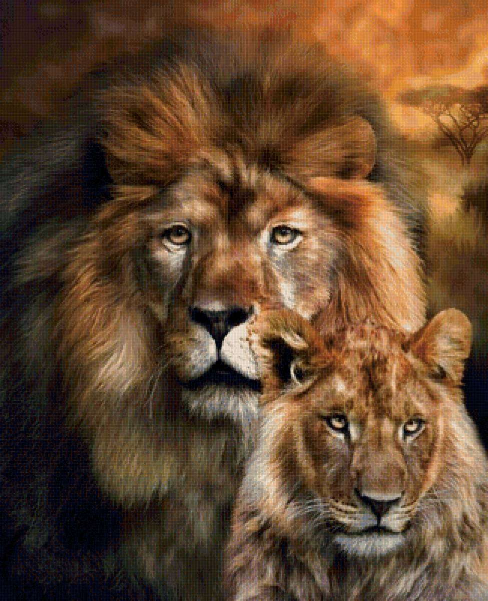 Львы - рисунок, львы, лев, львица, животные - предпросмотр
