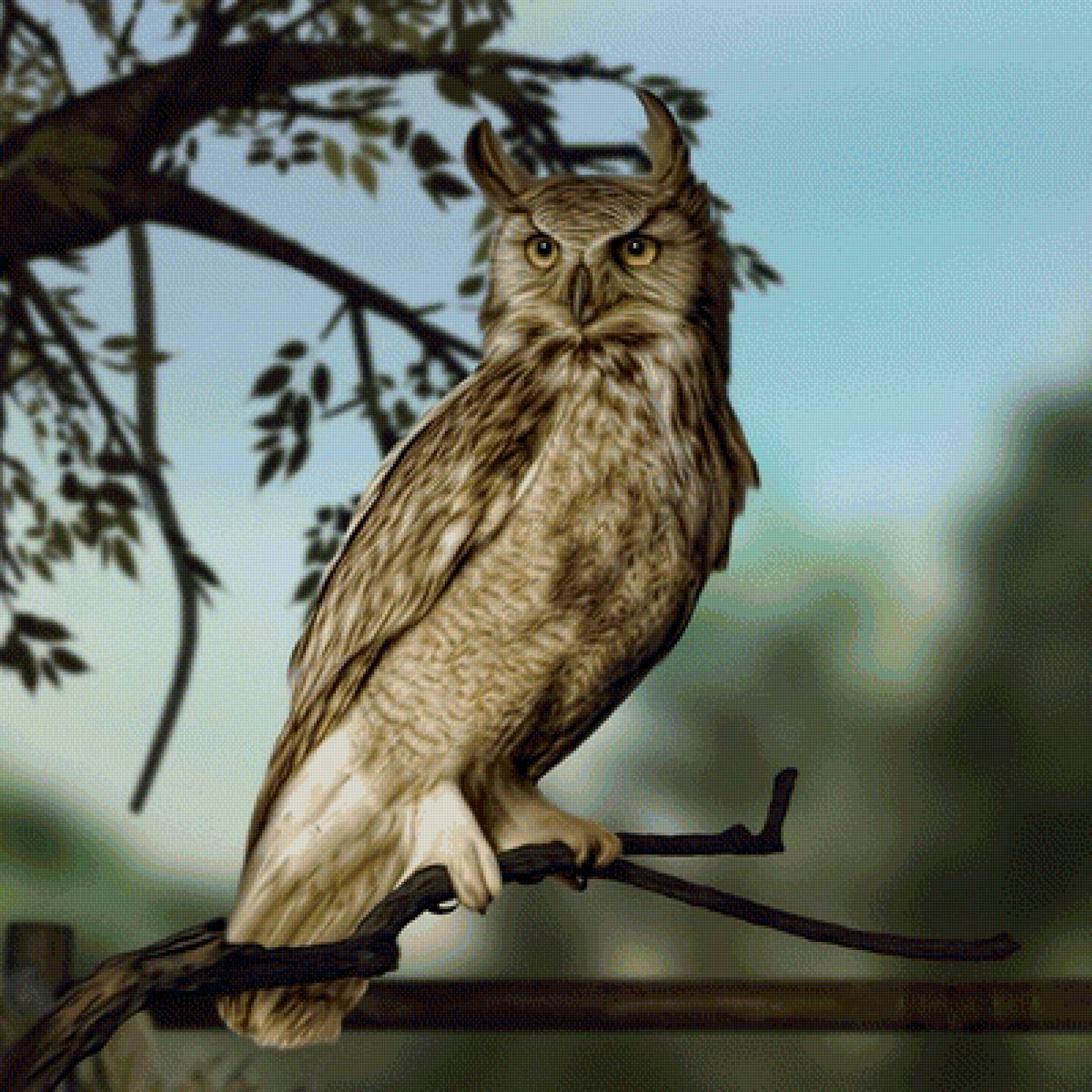 Сова - сова, рисунок, птица - предпросмотр