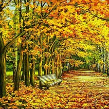 Схема вышивки «Осенний пейзаж. 1 часть»