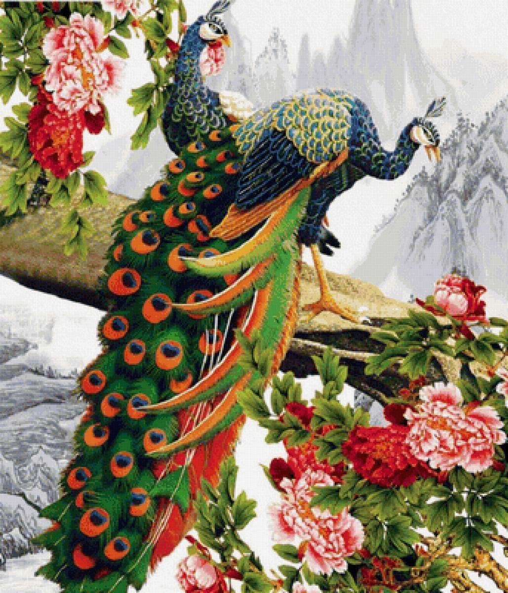 Павлины - рисунок, цветы, павлины, птицы - предпросмотр