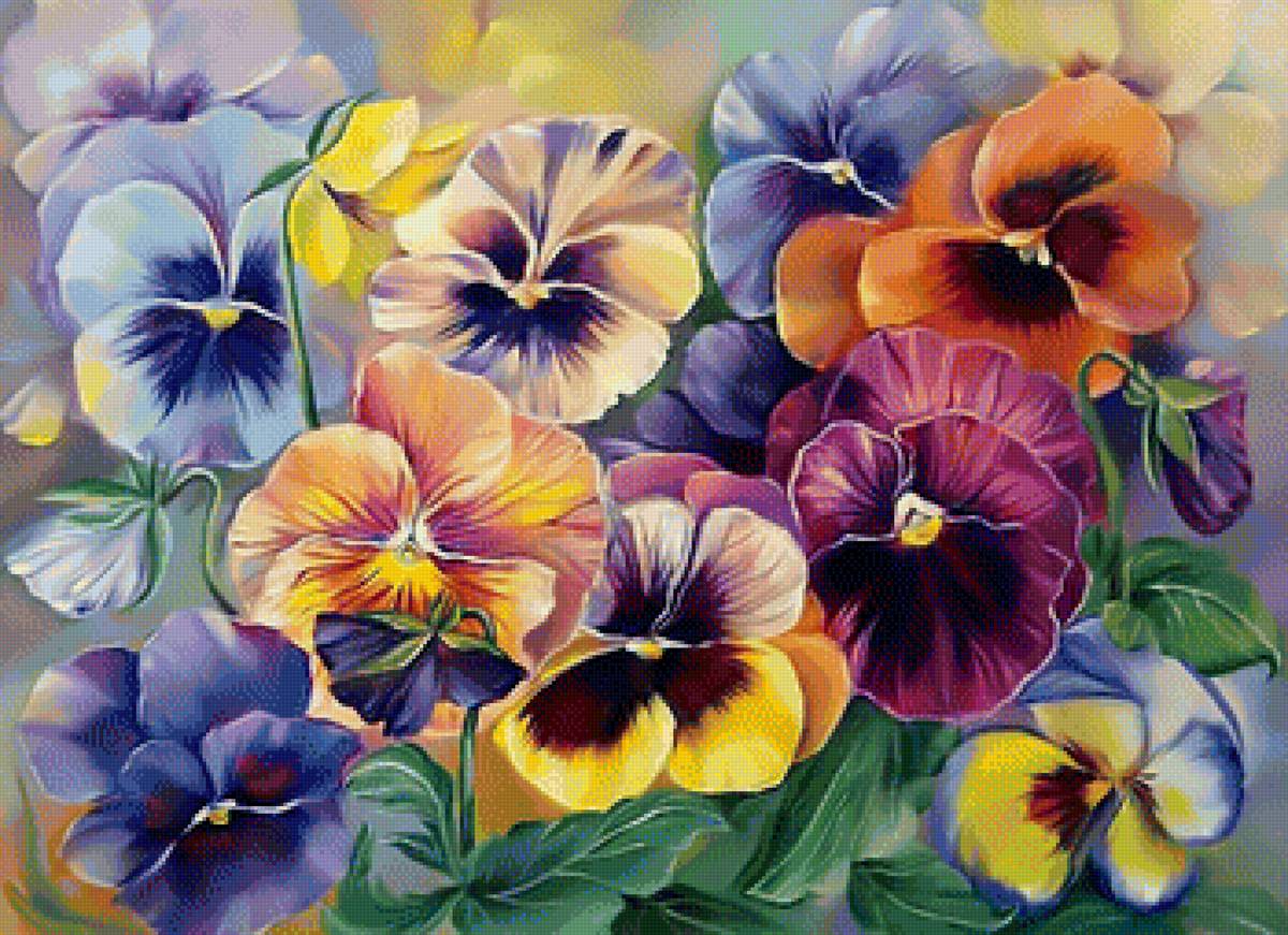 Анютины глазки - анютины глазки цветы - предпросмотр