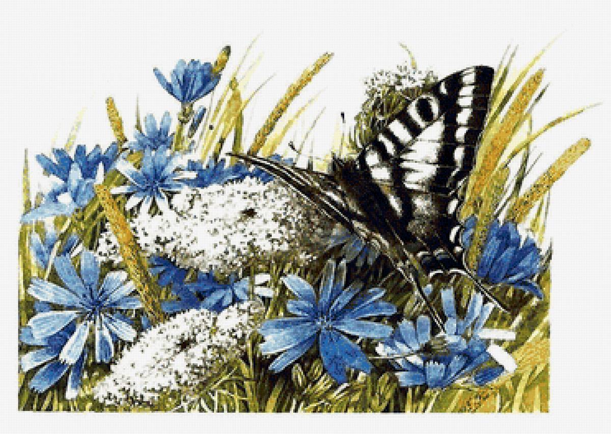 бабочка - предпросмотр