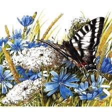 Схема вышивки «бабочка»