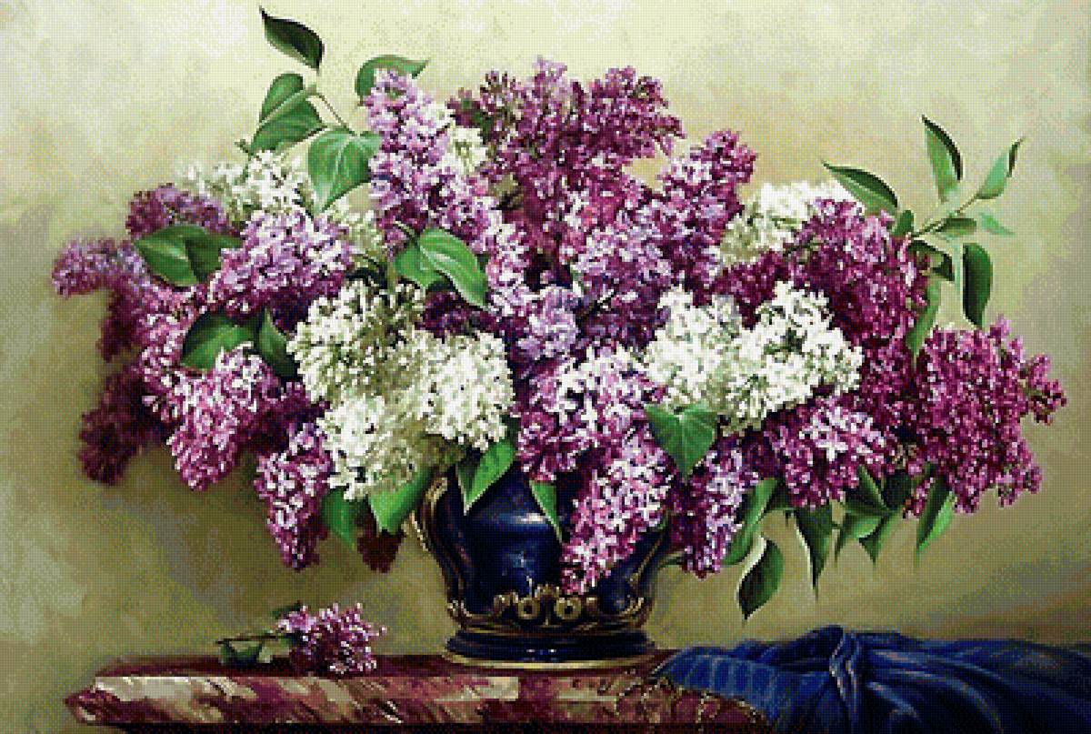 сирень - предпросмотр