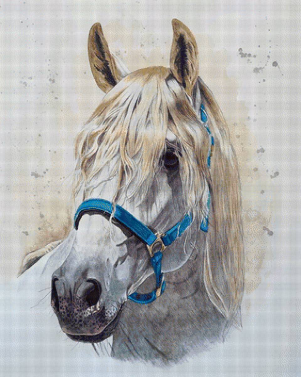 портрет серой лошади - животные, лошади, рисунок - предпросмотр