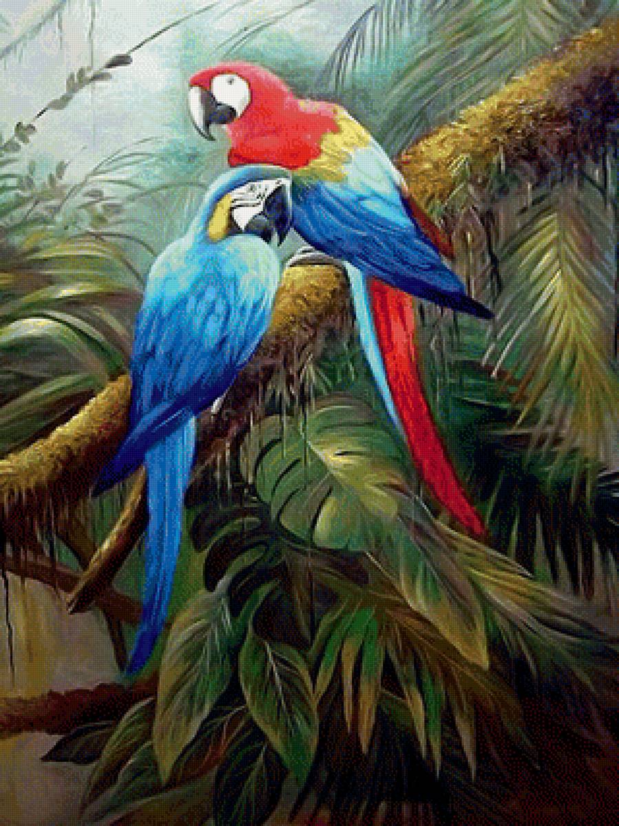 попугай - предпросмотр