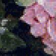 Предпросмотр схемы вышивки «розы» (№1910944)