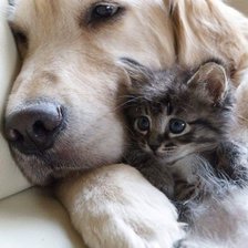 Схема вышивки «Друзья»