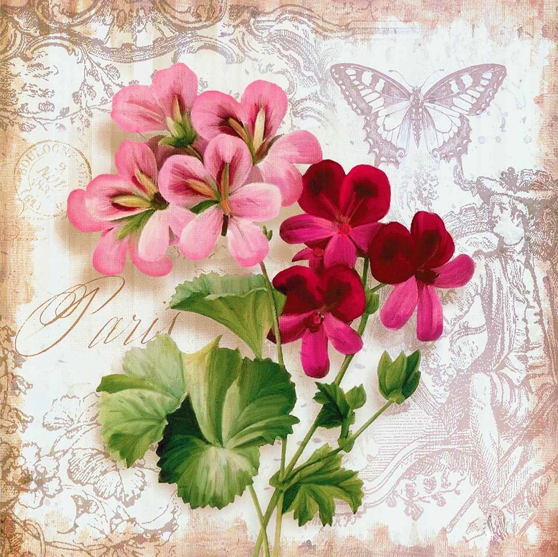 Цветы - цветы, рисунок, цветок - оригинал