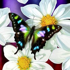 Схема вышивки «Арт»