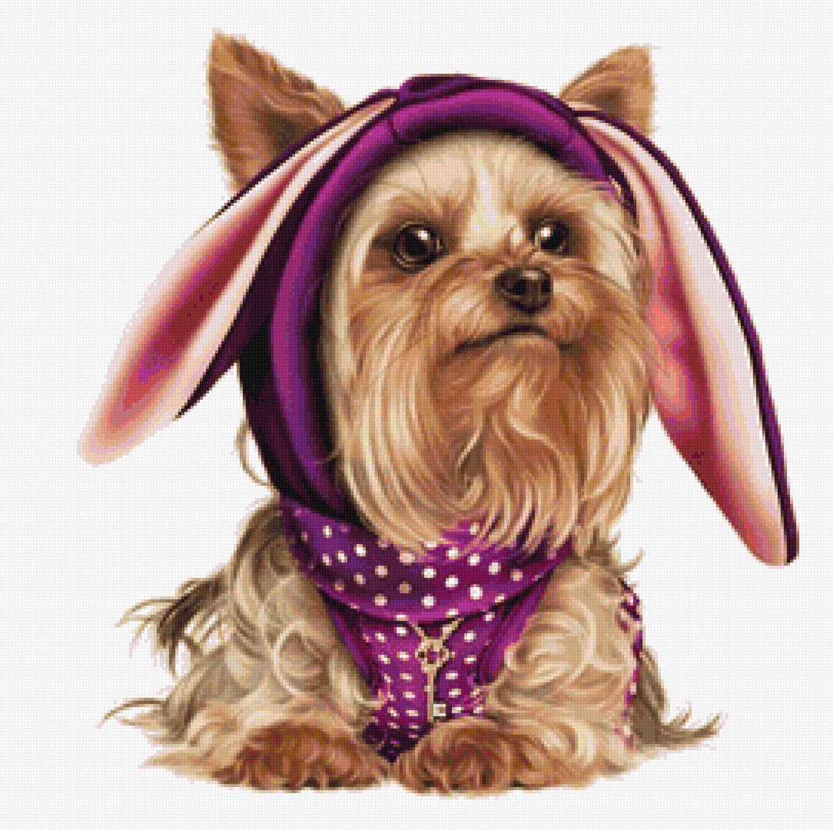 Забавная собачка - животные, щенок, собака - предпросмотр