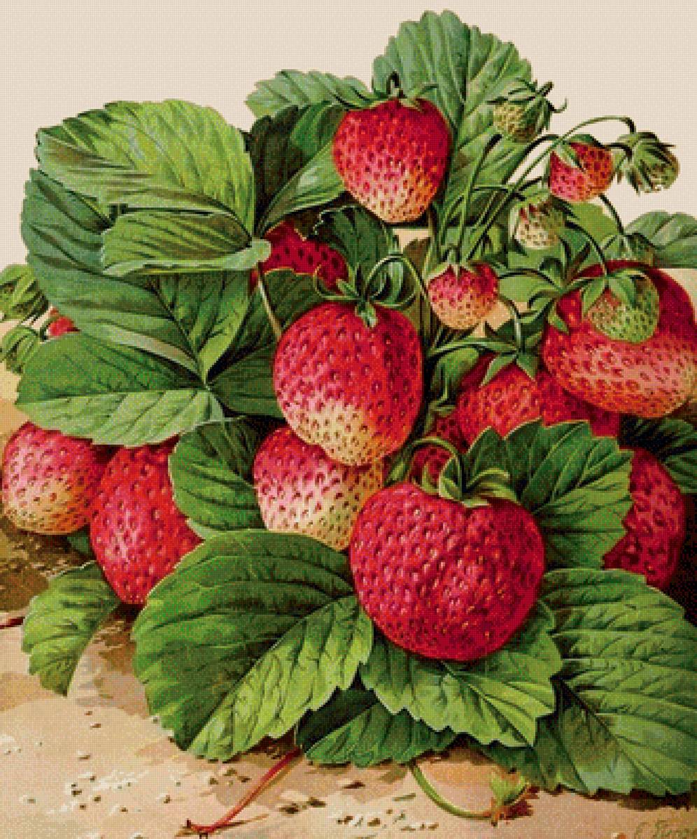 №1911282 - предпросмотр