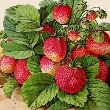 Схема вышивки «№1911282»