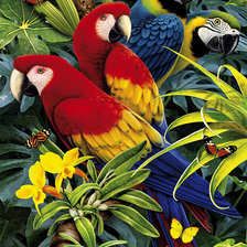 Схема вышивки «Мир птиц»