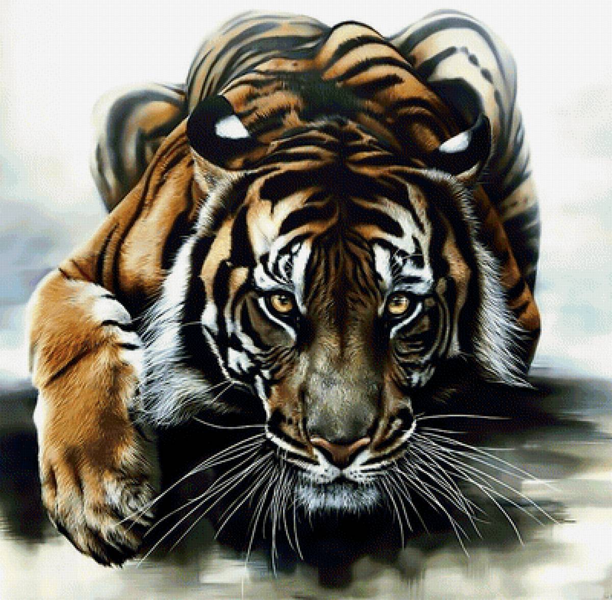 Крадущийся тигр - хищник тигр - предпросмотр