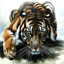 Крадущийся тигр