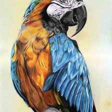 Схема вышивки «Мир птиц»